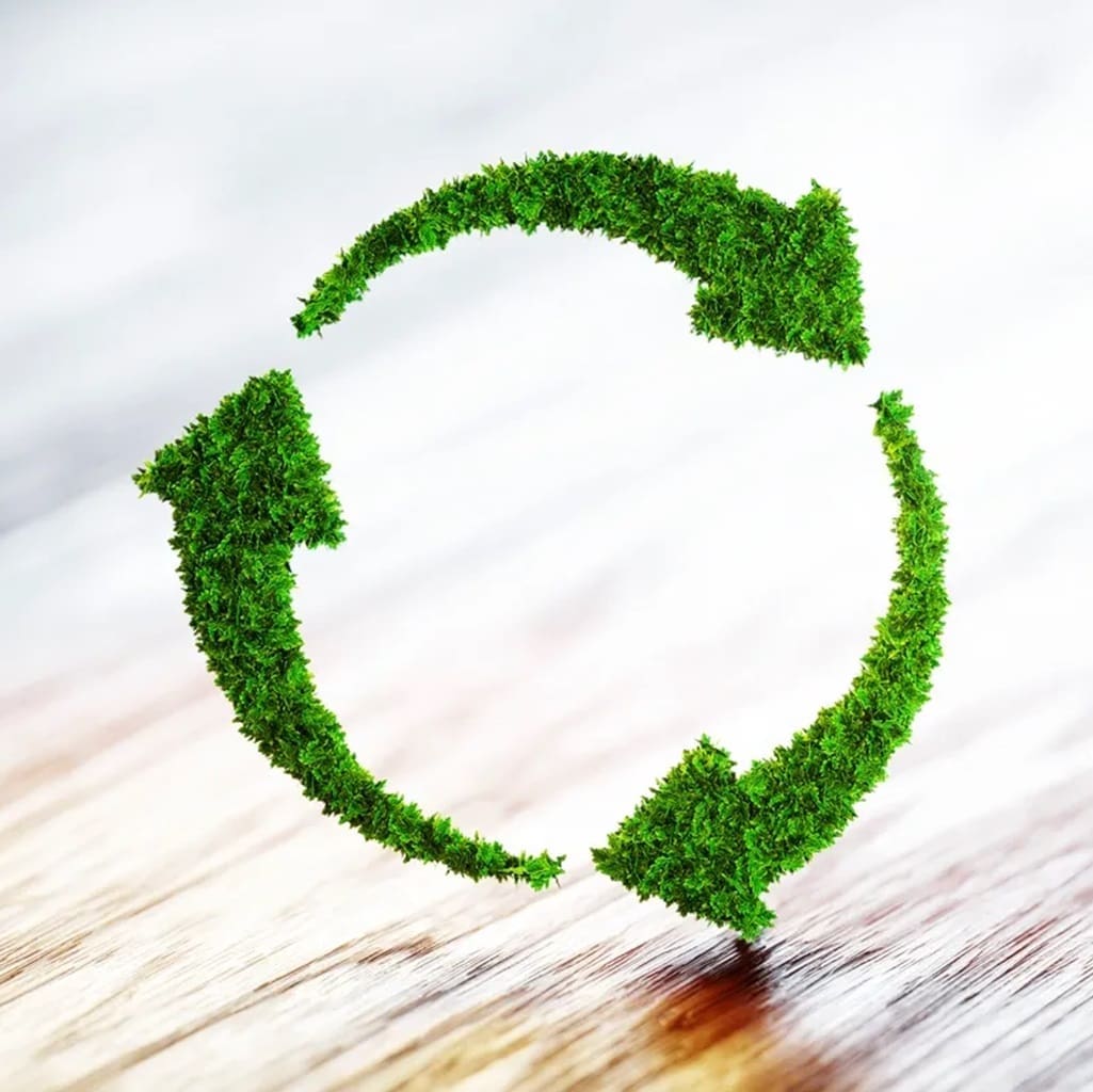 A green leaf recycling symbol on the ground.